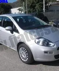 FIAT Punto 1.3 MJT II S&S 85 CV 5 porte ECO Easy rif. 6990435 FIAT Punto 1.3 MJT II S&S 85 CV 5 porte ECO Easy rif. 6990435