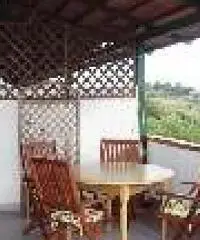 A CAPO VATICANO A CAPO VATICANO