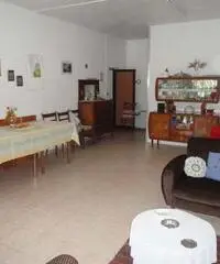 Rustico di 5 locali in Vendita Rustico di 5 locali in Vendita