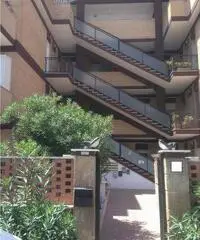 Ardea Vendita Appartamento Ardea Vendita Appartamento
