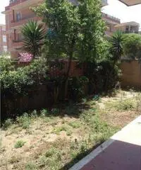 Ardea Vendita Appartamento Ardea Vendita Appartamento