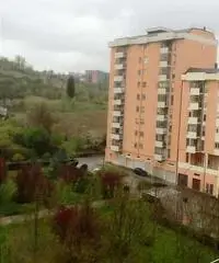 Vendita Appartamento a Potenza Vendita Appartamento a Potenza