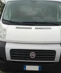 Fiat Ducato 33 LH1  2.3 MJT  6 +1 CON CASSONE Fiat Ducato 33 LH1  2.3 MJT  6 +1 CON CASSONE