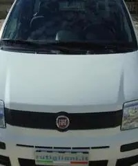 Fiat Panda 1.2 Active Fiat Panda 1.2 Active