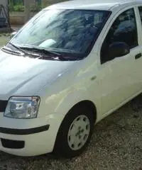 Fiat Panda 1.2 Active Fiat Panda 1.2 Active