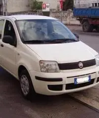 FIAT Panda 1.2 Active rif. 7196879 FIAT Panda 1.2 Active rif. 7196879