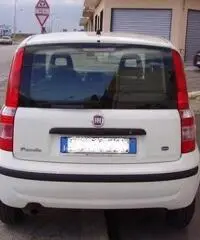 FIAT Panda 1.2 Active rif. 7196879 FIAT Panda 1.2 Active rif. 7196879