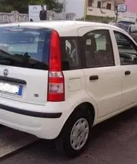 FIAT Panda 1.2 Active rif. 7196879 FIAT Panda 1.2 Active rif. 7196879