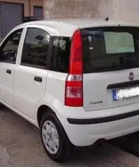 FIAT Panda 1.2 Active rif. 7196879 FIAT Panda 1.2 Active rif. 7196879