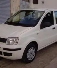 FIAT Panda 1.2 Active rif. 7196879 FIAT Panda 1.2 Active rif. 7196879