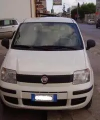 FIAT Panda 1.2 Active rif. 7196879 FIAT Panda 1.2 Active rif. 7196879