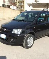 Fiat Panda 1.2 Climbing Natural Power Fiat Panda 1.2 Climbing Natural Power