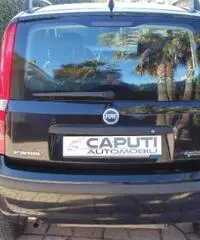 FIAT Panda 1.2 Dynamic Natural Power rif. 7195168 FIAT Panda 1.2 Dynamic Natural Power rif. 7195168