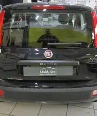 FIAT Panda 1.2 Easy rif. 7196249 FIAT Panda 1.2 Easy rif. 7196249