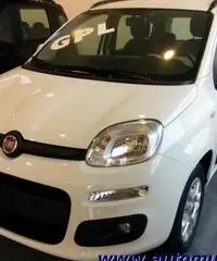 FIAT Panda 1.2 EasyPower Lounge rif. 5665816 FIAT Panda 1.2 EasyPower Lounge rif. 5665816