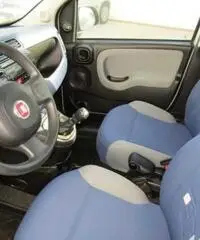 FIAT Panda 1.2 Lounge rif. 7193105 FIAT Panda 1.2 Lounge rif. 7193105