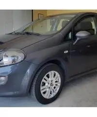 Fiat Punto 1.2 8V 5P. Lounge Fiat Punto 1.2 8V 5P. Lounge