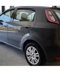 Fiat Punto 1.2 8V 5P. Lounge Fiat Punto 1.2 8V 5P. Lounge