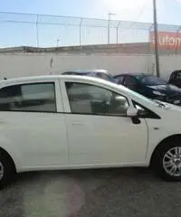 FIAT Punto 1.3 MJT II S&S 95 CV 5 porte Lounge rif. 7193110 FIAT Punto 1.3 MJT II S&S 95 CV 5 porte Lounge rif. 7193110