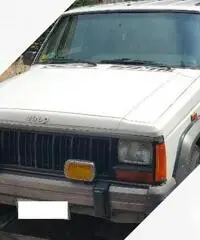 JEEP Cherokee 2.1td ASI 1989 JEEP Cherokee 2.1td ASI 1989