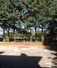 Appartamento in Affitto 120mq Appartamento in Affitto 120mq