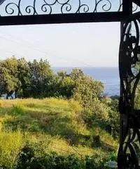 Villa a San Giovanni a Piro Villa a San Giovanni a Piro