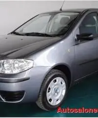 FIAT Punto 1.2i 16V cat 5 porte NEOPATENTATI FIAT Punto 1.2i 16V cat 5 porte NEOPATENTATI