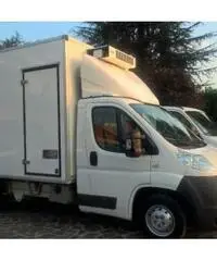 IVECO Daily FRIGO CON DIVISORIO IVECO Daily FRIGO CON DIVISORIO