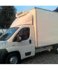 IVECO Daily FRIGO CON DIVISORIO IVECO Daily FRIGO CON DIVISORIO