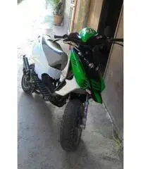 Beta ark lc Beta ark lc