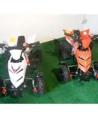 MINIQUAD RAPTOR 49cc R4 MINIQUAD RAPTOR 49cc R4