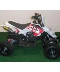 MINIQUAD RAPTOR 49cc R4 MINIQUAD RAPTOR 49cc R4