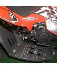 MINIQUAD RAPTOR 49cc R4 MINIQUAD RAPTOR 49cc R4