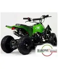 Miniquad Raptor Big 50cc E-Start R6