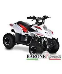 Quad Bamboo 110cc R6 Quad Bamboo 110cc R6