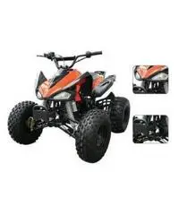 QUAD MONSTER R8 QUAD MONSTER R8