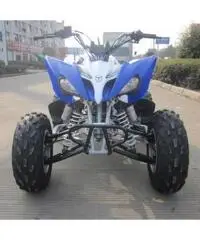 QUAD PANTERA ATV 250CC R10 QUAD PANTERA ATV 250CC R10