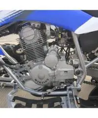 QUAD PANTERA ATV 250CC R10 QUAD PANTERA ATV 250CC R10