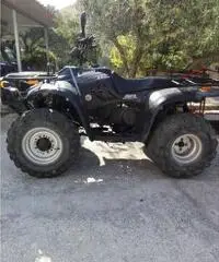 Quad Quad