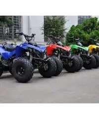 Quad Warrior Racing 125cc R8