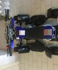 LINHAI 50 tipo veicolo Minimoto cc 49 LINHAI 50 tipo veicolo Minimoto cc 49