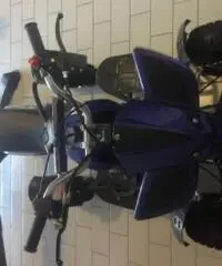 LINHAI 50 tipo veicolo Minimoto cc 49 LINHAI 50 tipo veicolo Minimoto cc 49