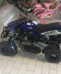 LINHAI 50 tipo veicolo Minimoto cc 49 LINHAI 50 tipo veicolo Minimoto cc 49