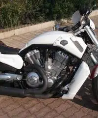 Harley Davidson V-Rod Muscle 1250cc Special Custom Unica