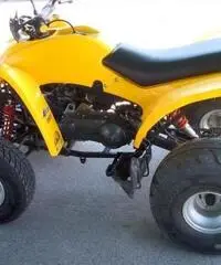 PIAGGIO Porter QUOD 150 TARGATO