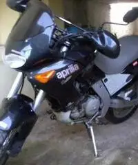 APRILIA Pegaso 650 Enduro cc 652 APRILIA Pegaso 650 Enduro cc 652