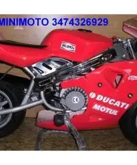 minimoto rossa a scoppio 2T minimoto rossa a scoppio 2T