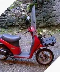 Piaggio Free 50 - 2003 Piaggio Free 50 - 2003