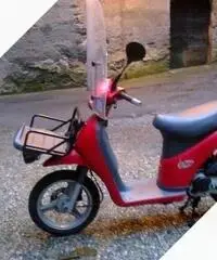 Piaggio Free 50 - 2003 Piaggio Free 50 - 2003