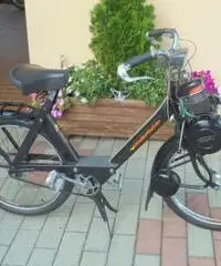 VELOCIFERO Velocifero 50 VELOSOLEX 3800 VELOCIFERO Velocifero 50 VELOSOLEX 3800